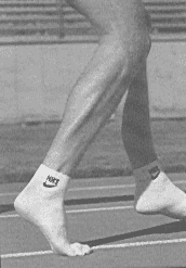 heel-raises